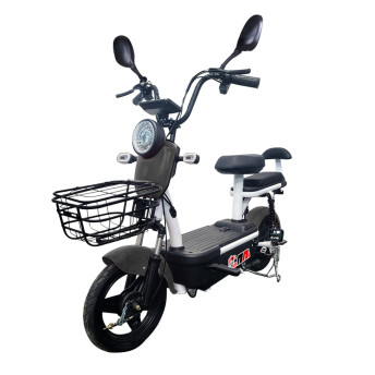 Bicicleta Elétrica com Bateria Removível - Easy PAM - Plug and Move