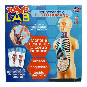 Kit Médico Infantil - Toyng Labs - Busto Humano - Toyng