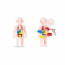 Kit Médico Infantil - Clini Kids - Corpo Humano - 13 peças - Toyng