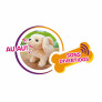 Pelúcia Interativa - PlayFull Pets - Petshop do Cachorrinho Caramelo - Toyng