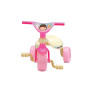 Triciclo Infantil com Haste Removível - Tchuco Doll - Samba Toys