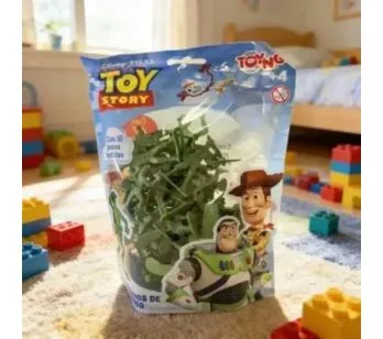 Toy Story - Soldadinhos de Plástico - 47 Peças - Toyng