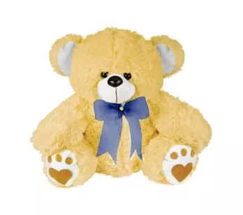 Pelúcia Infantil - 30 cm - Urso Baby - Doce - W.U. Bichos de Pelúcia
