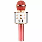 Microfone Bluetooth Infantil - Divertido WS858 - Rose - Mundo Encantado