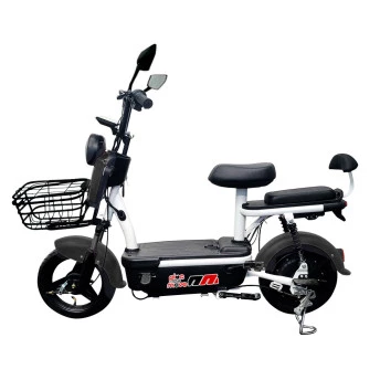 Bicicleta Elétrica com Bateria Removível - Easy PAM - Plug and Move