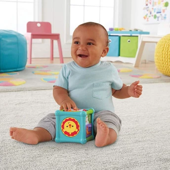 Cubo de Atividades Animaizinhos Divertidos - Fisher-Price