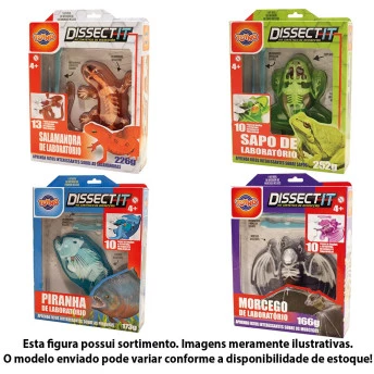 Figura Interativa - Dissect It - Laboratório - Sortido - Toyng