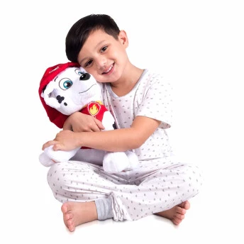 Pelúcia Infantil - 30 cm - Patrulha Canina - Marshall - Sunny