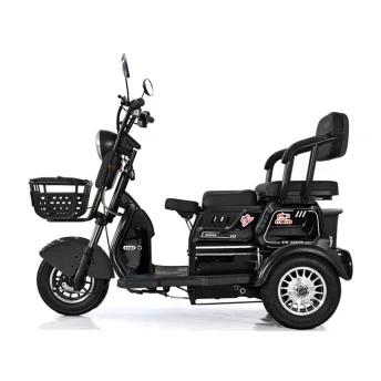 Triciclo Elétrico - Smart PAM - 800w Lithium - Preto - Plug and Move