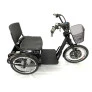 Triciclo Elétrico Fox 800w Freio-Disco e Ré Preto - Duos Bike