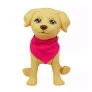 Cachorrinho com Acessórios - Pet da Barbie Veterinária - Pupee