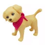 Cachorrinho com Acessórios - Pet da Barbie Veterinária - Pupee