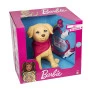 Cachorrinho com Acessórios - Pet da Barbie Veterinária - Pupee