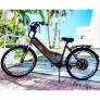 Bicicleta Elétrica - Street PAM - 800w 48v Lithium - Preta - Plug and Move