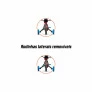 Bicicleta Infantil com Rodinhas - Aro 12 - Mechanic - Nathor