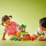 Bloco de Montar - Duplo - Árvore para Equilibrar e Empilhar - 27 peças - LEGO