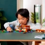 Blocos de Montar - A Casa Sapo - LEGO Minecraft