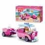 Blocos de Montar - Passeio Pet de Carro - 116 peças - Xalingo 
