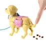 Conjunto e Boneca - Barbie Sisters e Pets - Passeio com Cachorrinho - Loira - Mattel