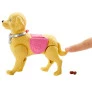 Conjunto e Boneca - Barbie Sisters e Pets - Passeio com Cachorrinho - Loira - Mattel
