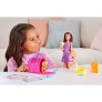 Boneca - Barbie Pets - Adota Cachorrinhos - Latina - Mattel