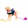 Boneca Articulada - Barbie - Cadeira de Rodas com Cão - Mattel