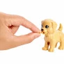 Boneca Articulada - Barbie Sisters e Pets - Treinadora de Cachorrinhos - Mattel