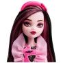 Boneca Articulada - Monster High - Draculaura - Mattel