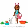 Boneca e Figura - Barbie Chelsea com Pets - Sortida - Mattel