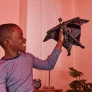 Boneco com Som e Luz - 30 cm - DC - The Batman - Wingsuit Batman - Sunny