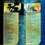 Box de Cartas - Pokémon - Batalha de Liga - Pikachu x Charizard - Copag
