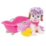 Cachorrinha e Acessórios - Esquadrão Pet Banho - Super Toys