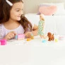 Conjunto e Boneca - Barbie Sisters e Pets - Aniversário de Cachorrinhos - Mattel