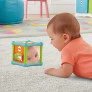 Cubo de Atividades Animaizinhos Divertidos - Fisher-Price