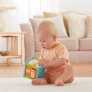 Cubo de Atividades Animaizinhos Divertidos - Fisher-Price