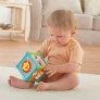 Cubo de Atividades Animaizinhos Divertidos - Fisher-Price