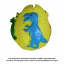 Figura de Apertar - Squish Mania - Ovo Dino - Toyng