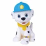 Figura de Vinil - Esquadrão Pet Dodói - Dálmata - Super Toys