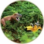 Figura Eletrônica com Veículo - Dinossauro - T-Rex Safari - Adijomar