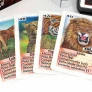 Jogo de Cartas - Super Trunfo - Predadores - Grow