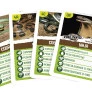 Jogo de Cartas - Super Trunfo - Cobras e Serpentes - Grow