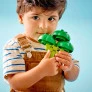 LEGO Duplo - Trator de Verduras e Frutas - 19 peças - Lego