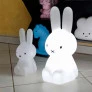 Luminária Infantil - 45 cm - Led e Fluorescente - Miffy - Natural - DecorFun