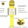 Microfone Bluetooth Infantil - Divertido WS858 - Gold - Mundo Encantado