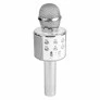 Microfone Bluetooth Infantil - Divertido WS858 - Prata - Mundo Encantado