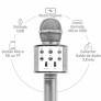 Microfone Bluetooth Infantil - Star Voice Karaokê - Prata - Zoop Toys