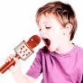 Microfone Bluetooth Infantil - Star Voice Karaokê - Rose - Zoop Toys