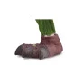 Pata Infantil - DinoPark Hunters - T-Rex - Bee Toys