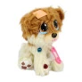 Pelúcia Infantil com Acessórios - Adota Pets - Cachorrinha - Lulu - Multikids