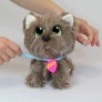 Pelúcia Infantil com Acessórios - Adota Pets - Cachorrinho - Scott - Multikids